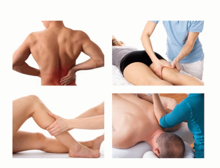 Physiotherapy / Acupunture